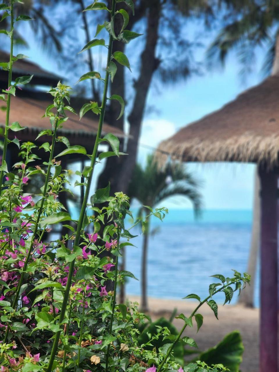 A Little Bungalows By Beach Amphoe Koksamui Eksteriør bilde